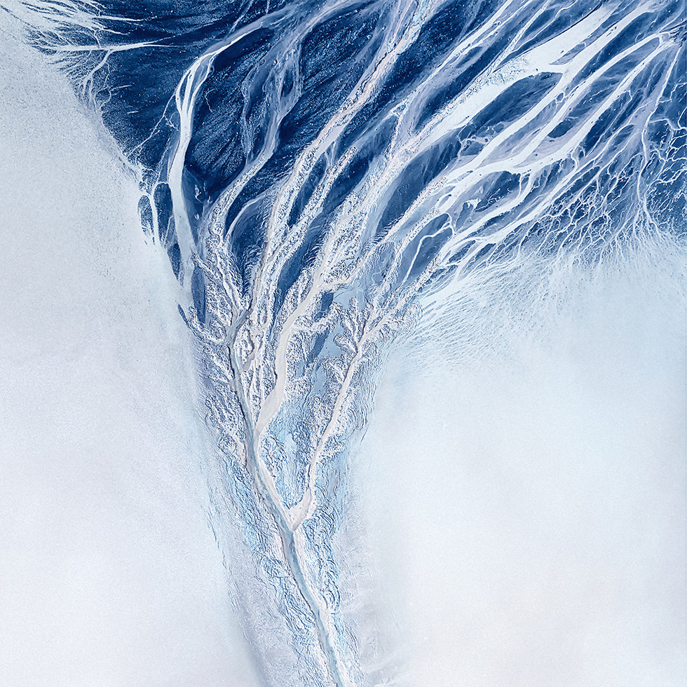 Nature Abstract Poster