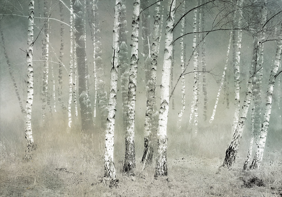 Morning silence  Poster