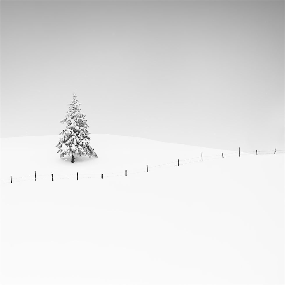 Monochrome Winter Poster