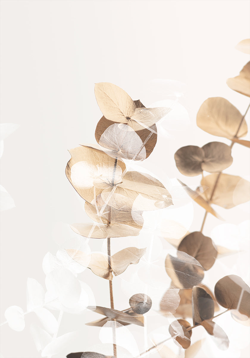 Eucalyptus Creative Gold 01 Poster