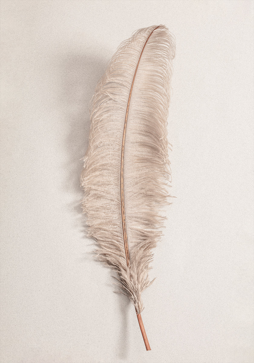 Feather No. Poster