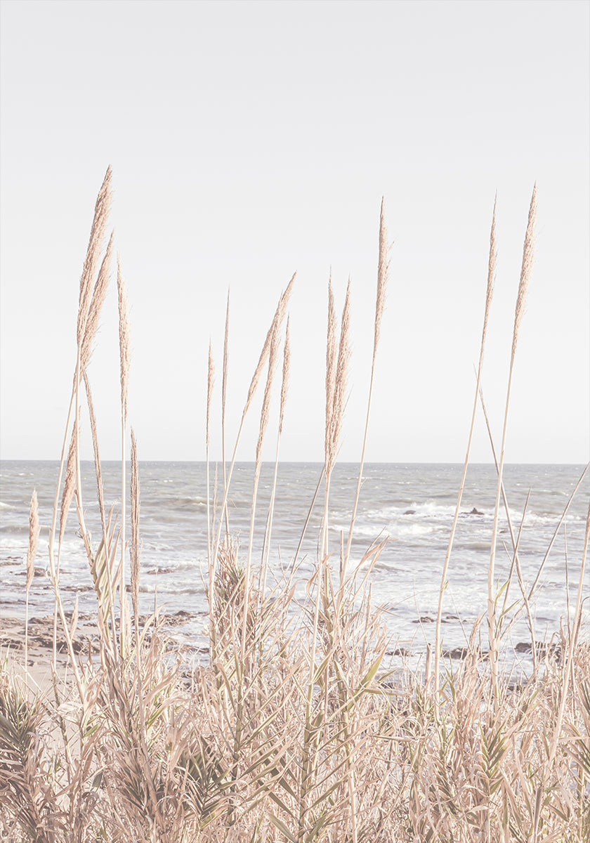 Beach_Vass_001 Poster