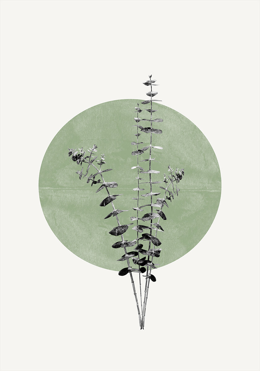 Nature&#039;s Echo  Poster