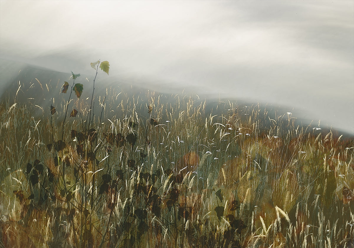 In the field Poster