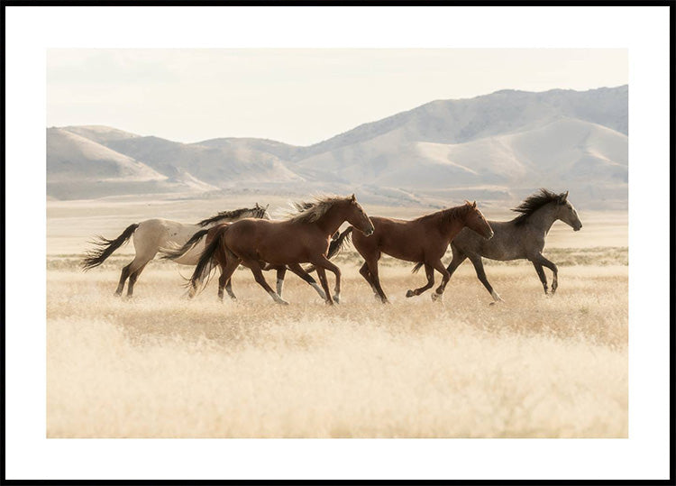 Wild Horses Galloping Poster