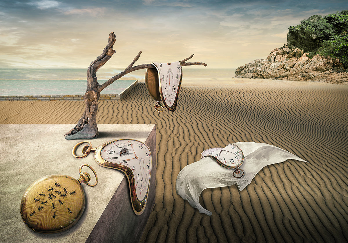 Hommage Dali Poster