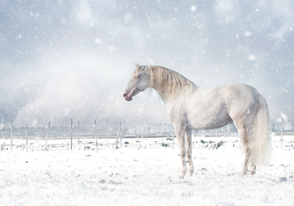 Let it snow... Poster