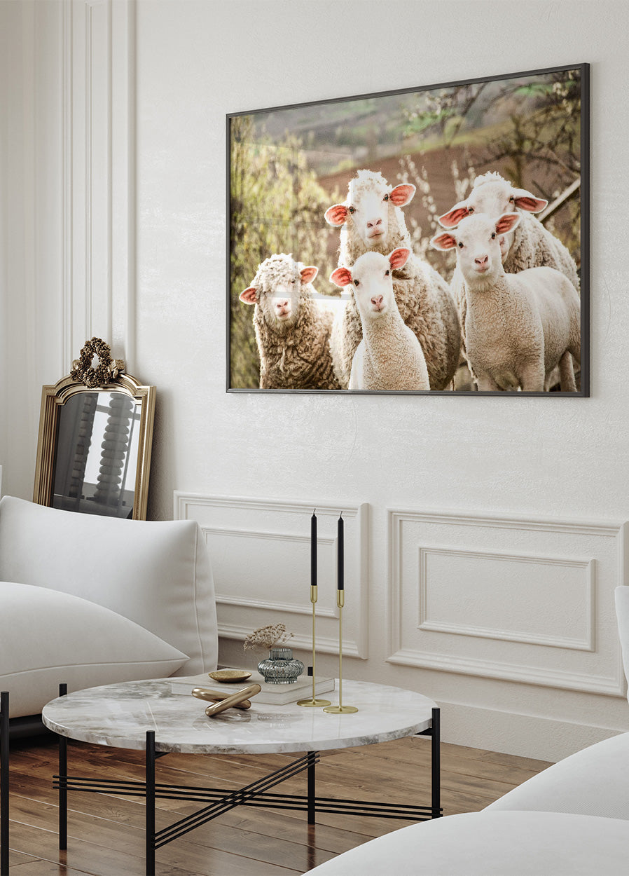 Flock of Sheep Poster