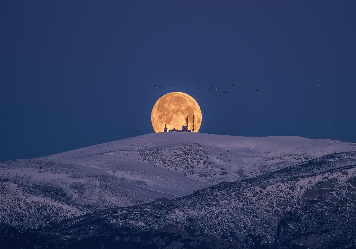 SNoW &amp; MooN Poster