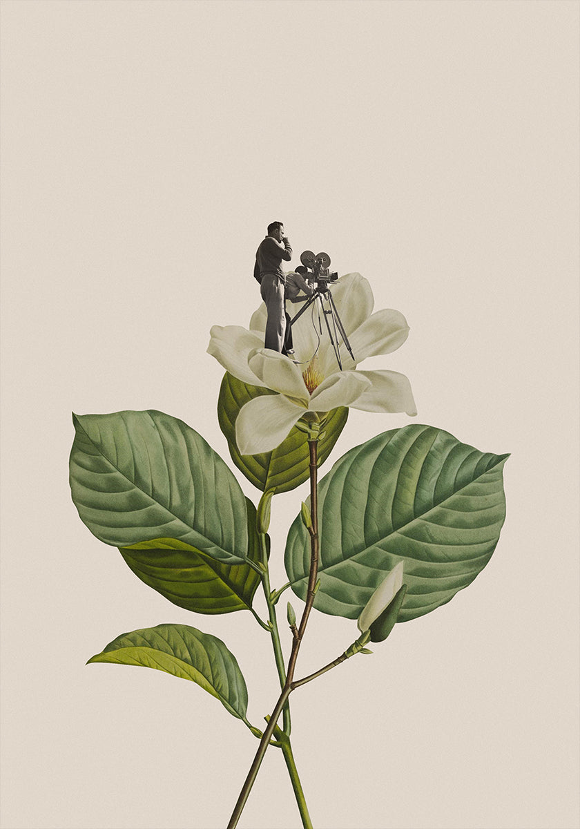 Botanical vintage cameraman Poster