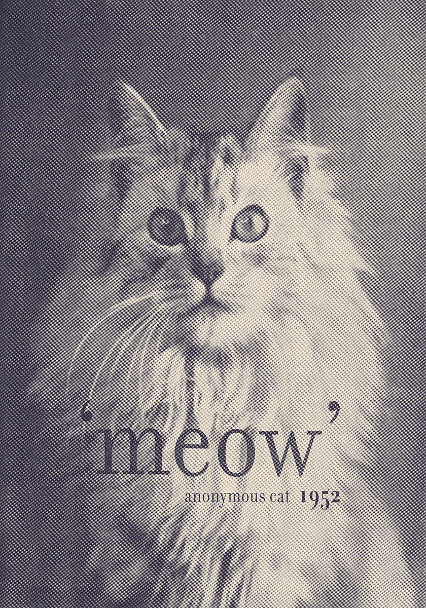 Famous Quote Cat Poster