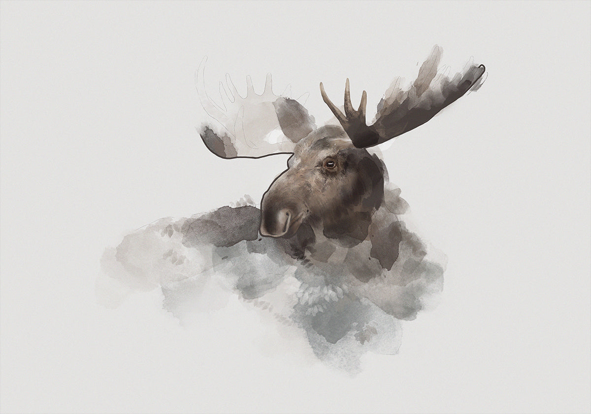 Elk