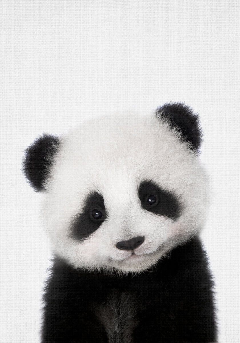 Peekaboo Baby Panda