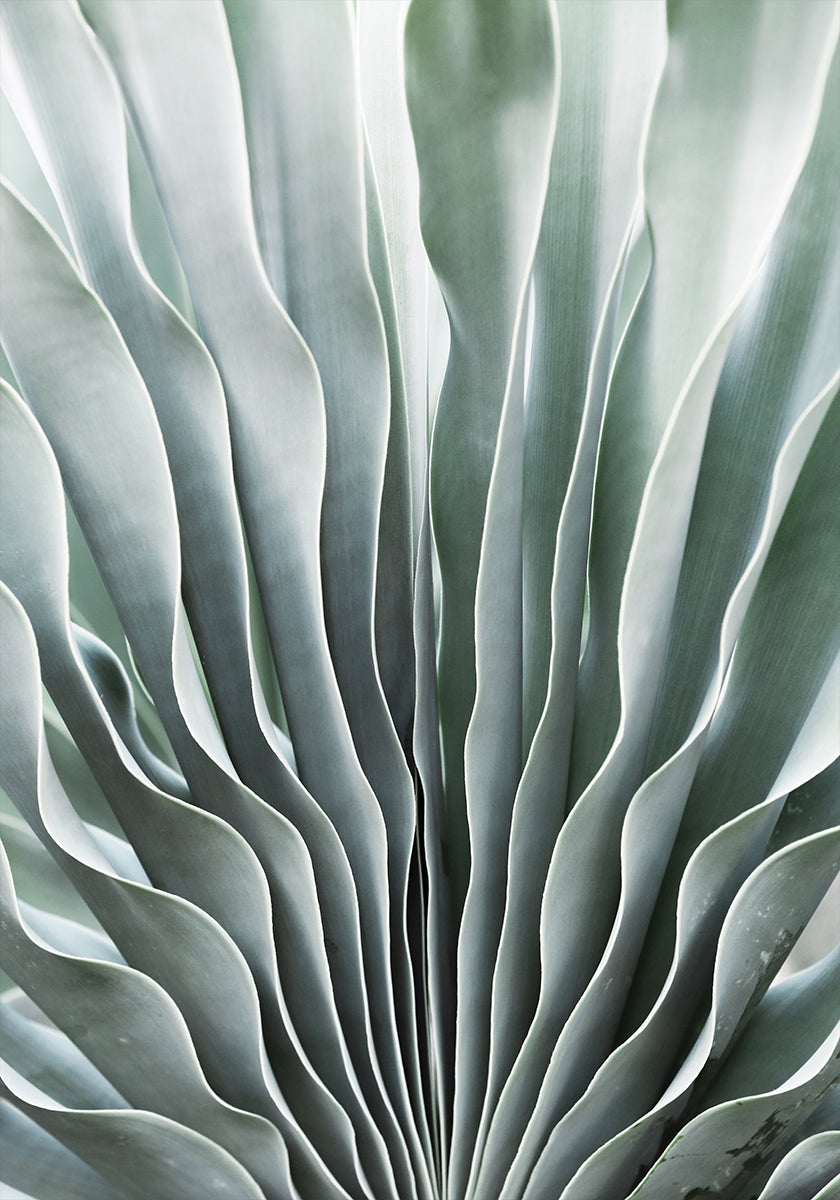 Nature's Grace Poster