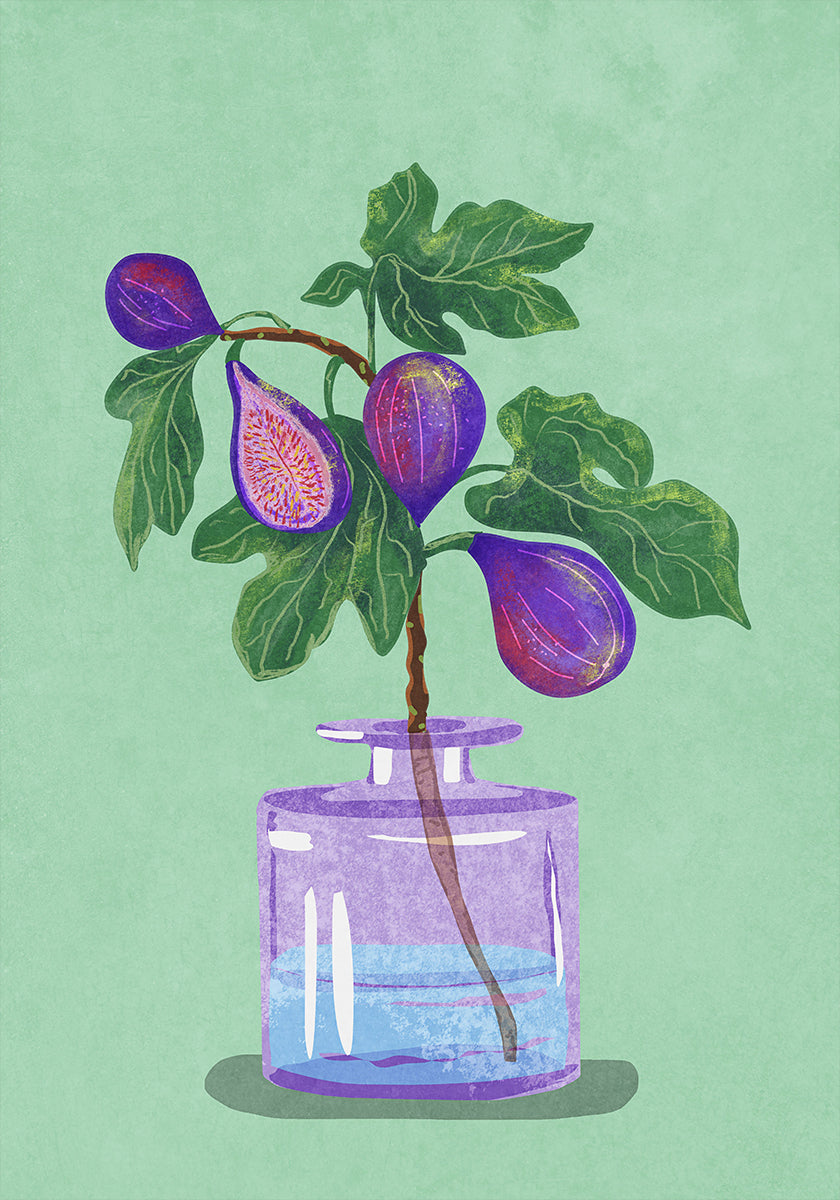 Figs Branch In Vase Poster
