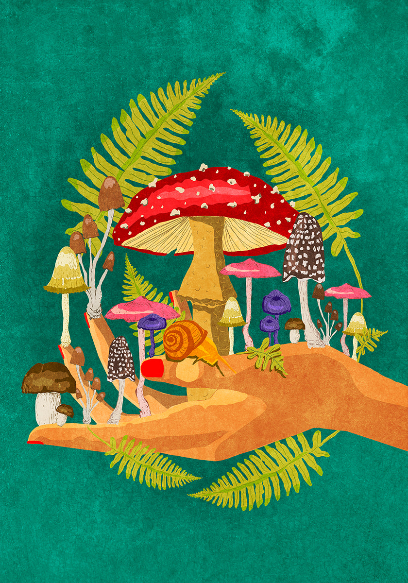 My Mushroom Cosmos  Poster