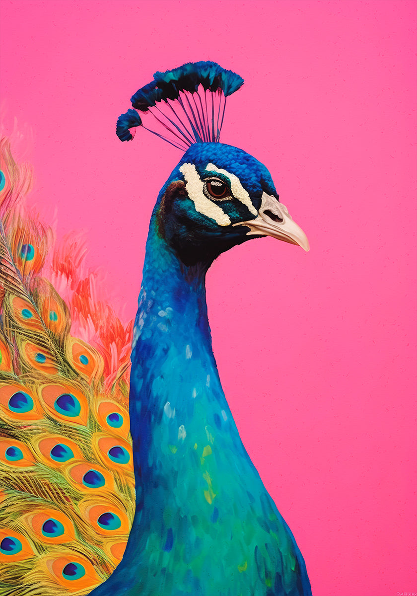 Peacock&#039;s Vibrance