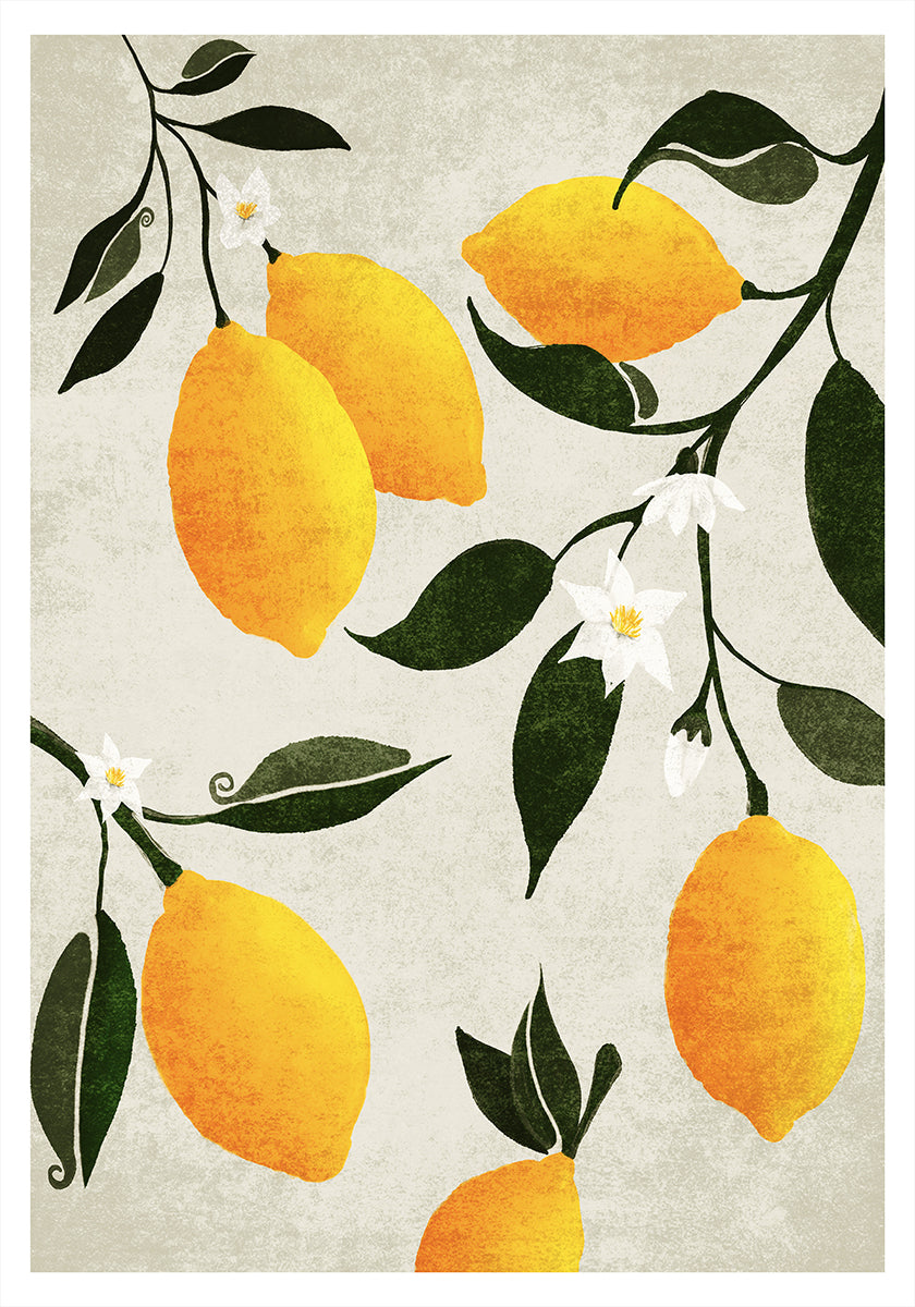 Citrus Symphony  Poster