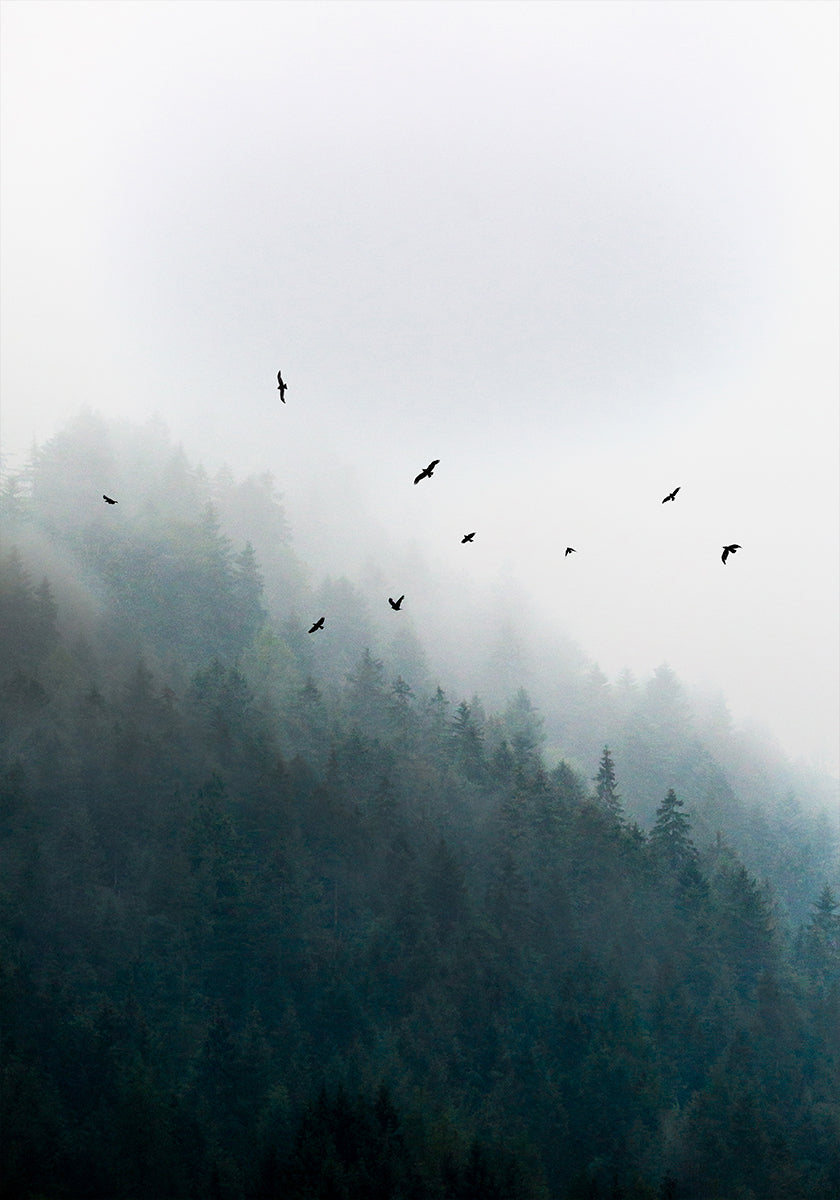 Foggy Morning 4 Poster