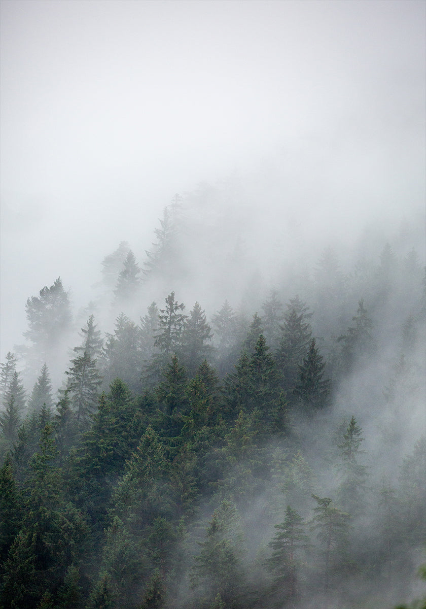 Foggy Morning 2 Poster