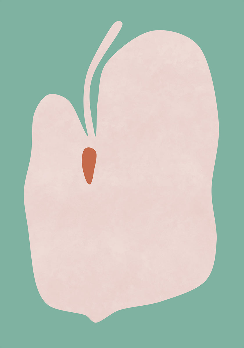 Pink Anthurium Flower Poster