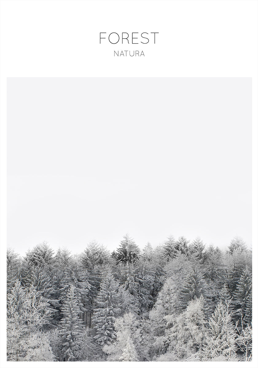 Frosted Tranquility Poster