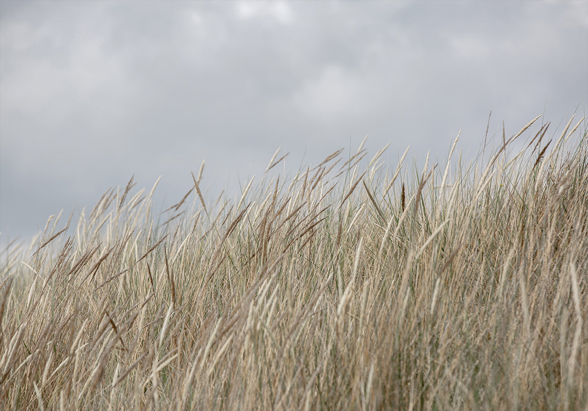 Dunes and Clouds