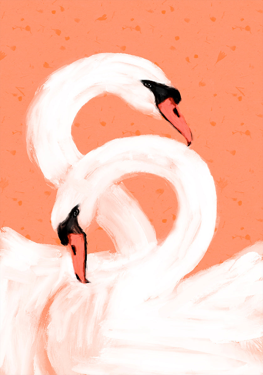 Graceful Swans Poster