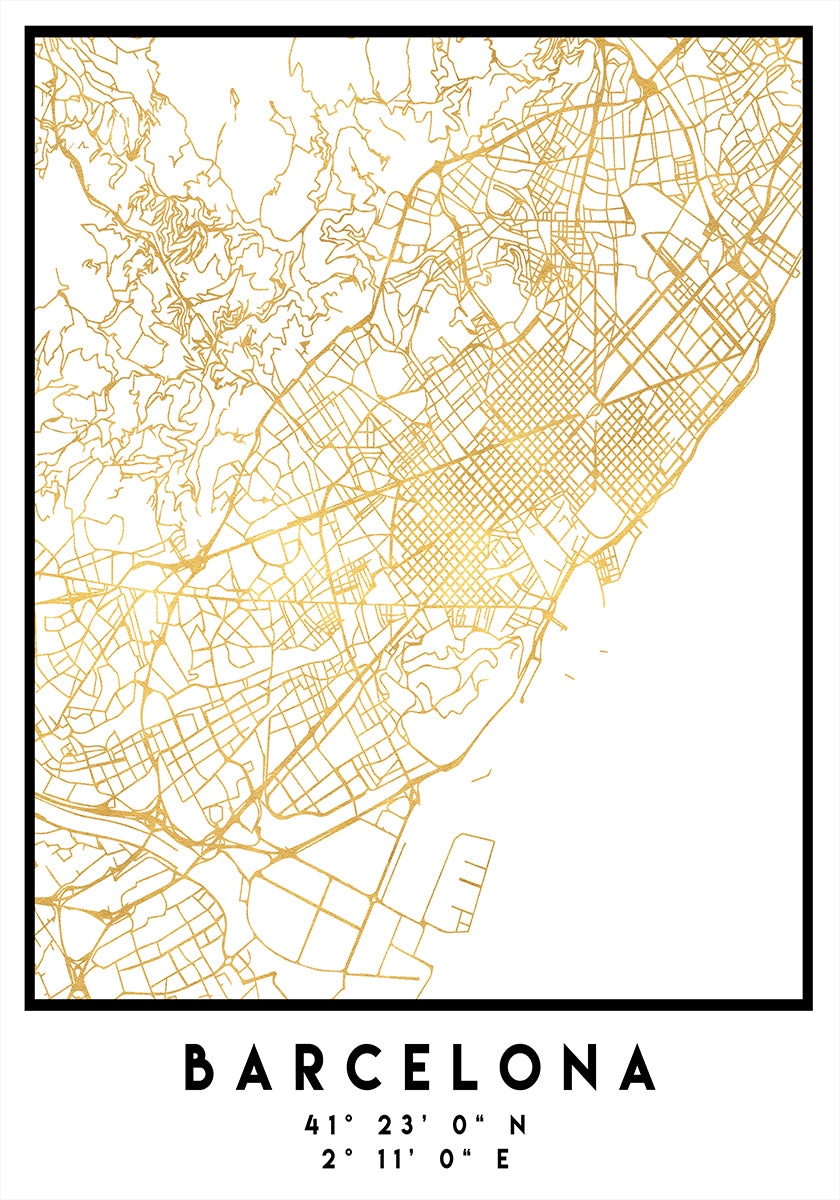 1 Maps 11 Poster