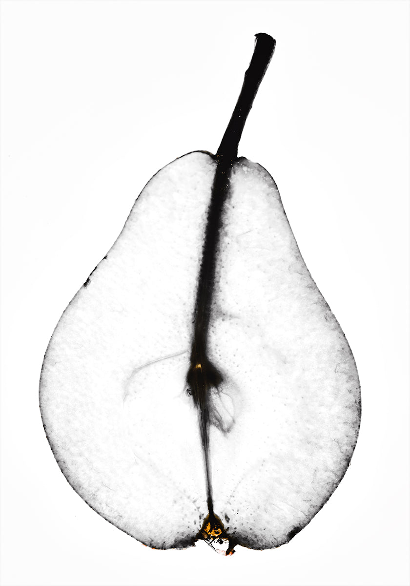 Pear Poster