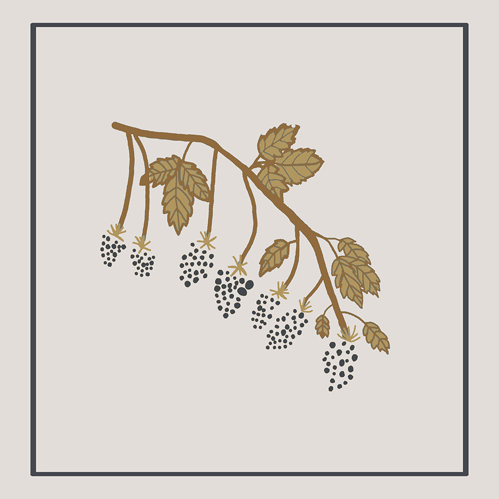 Blackberry Spring Poster
