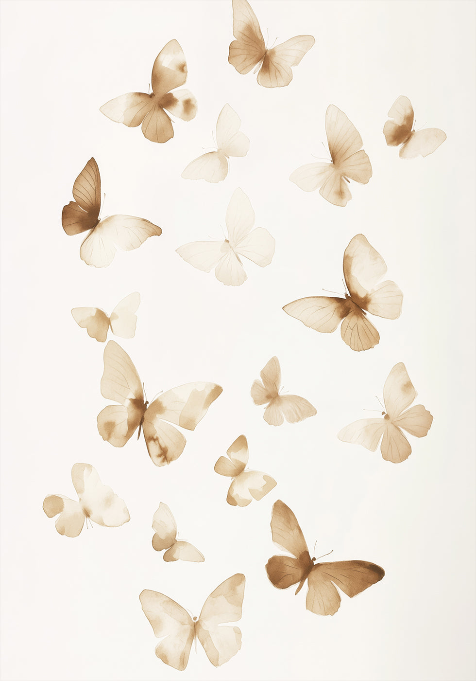 Soft Butterfly Poster