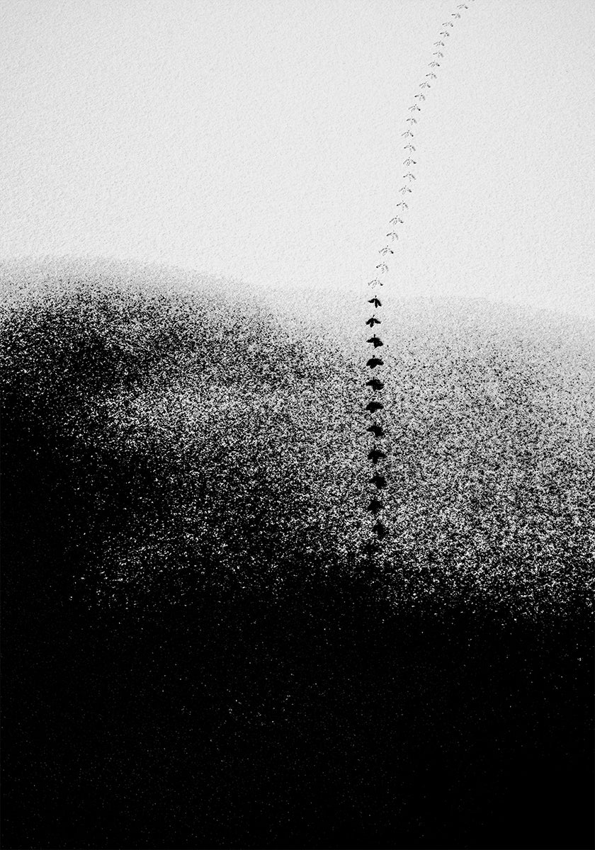 Footsteps in the snow Poster