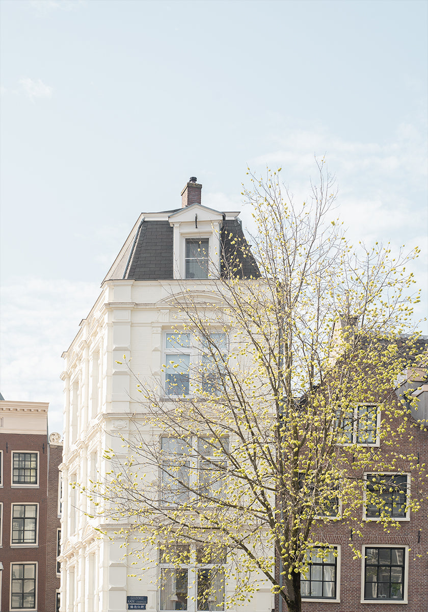 Spring In Amsterdam Poster