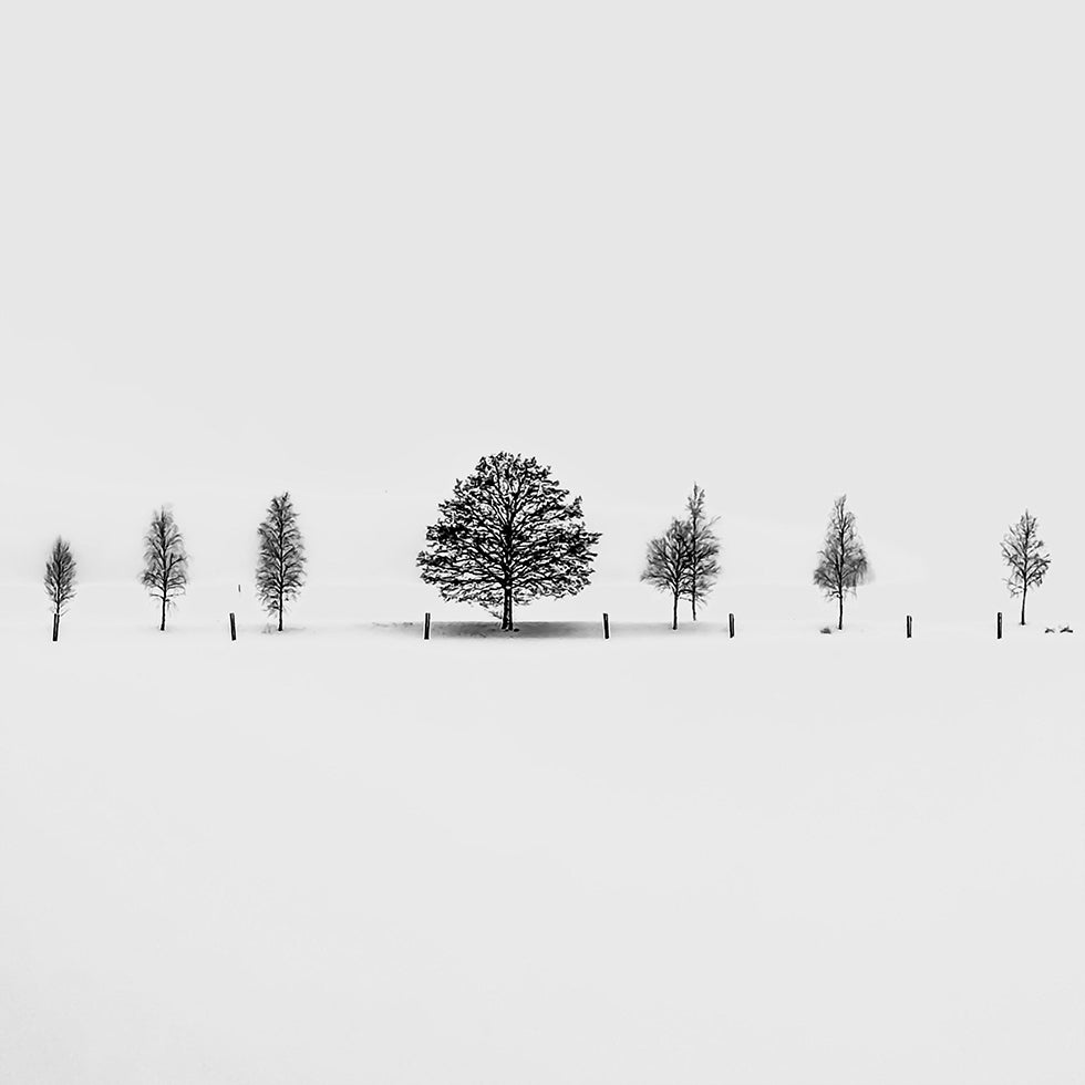 Together Alone Poster