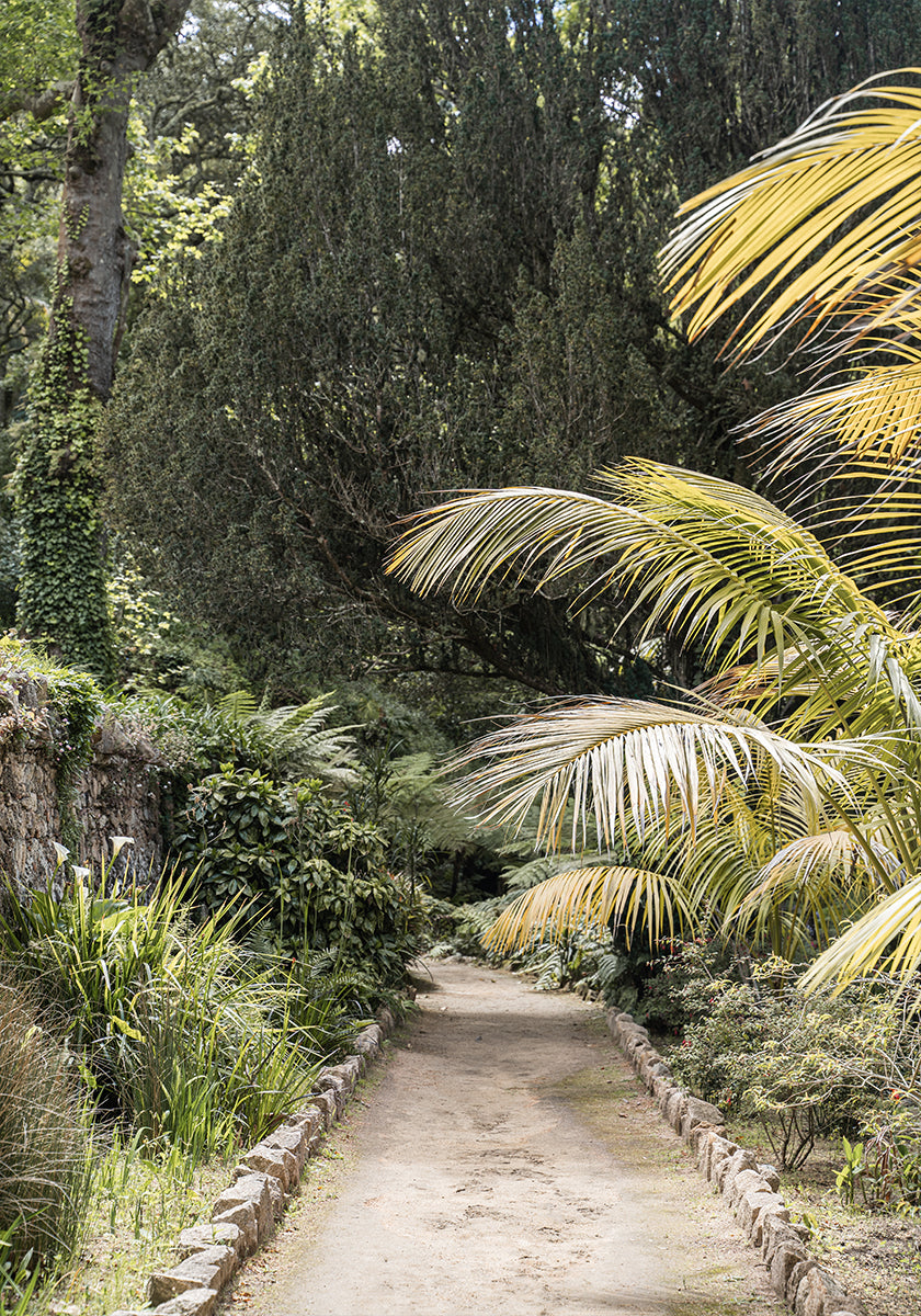 Tropical Walk Poster