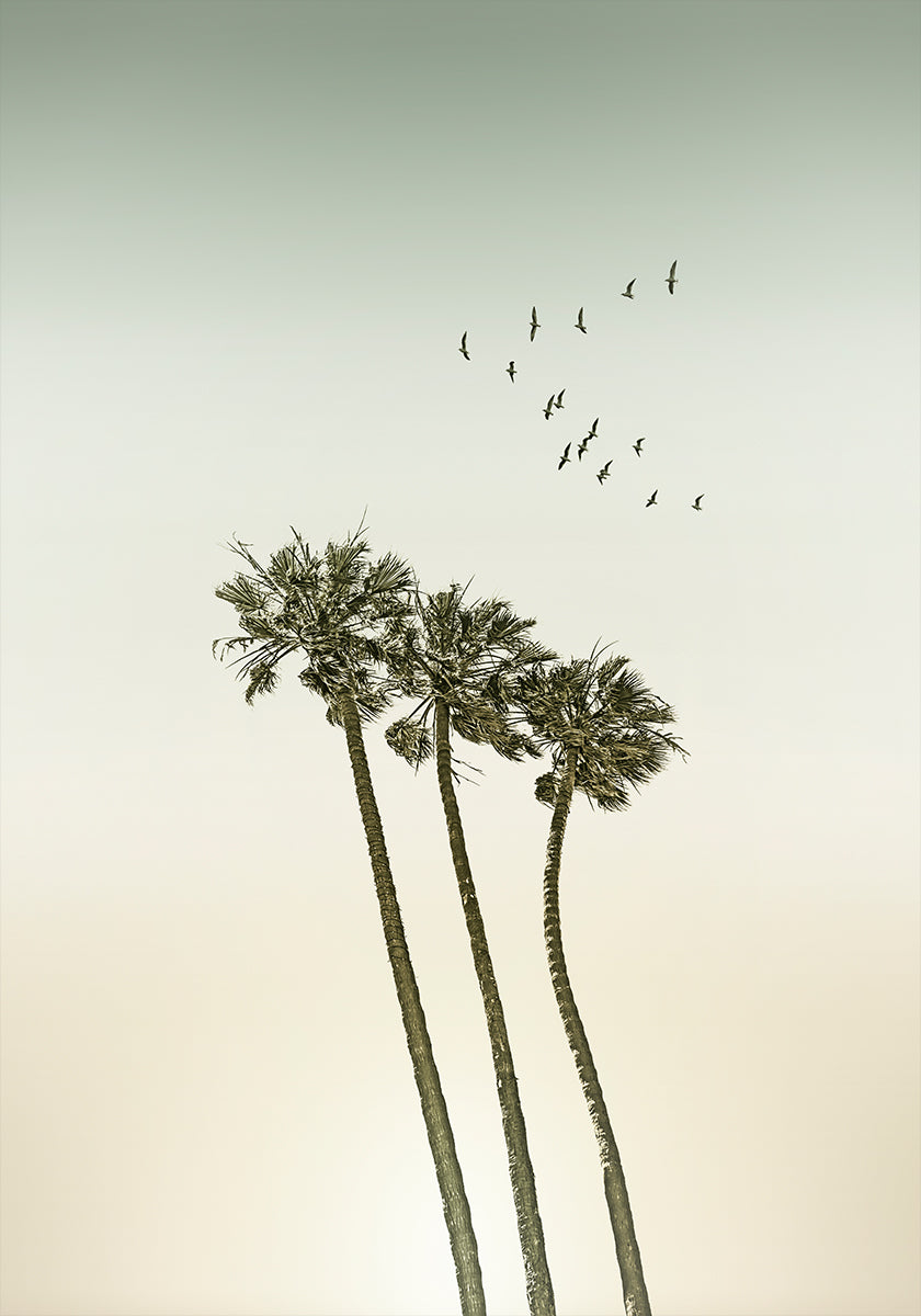 Vintage minimalist palm trees &amp; sunset Poster