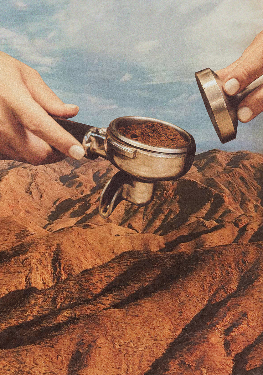 Barista Coffee County