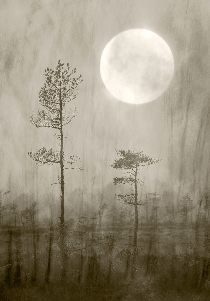 Moonlight Moor Poster