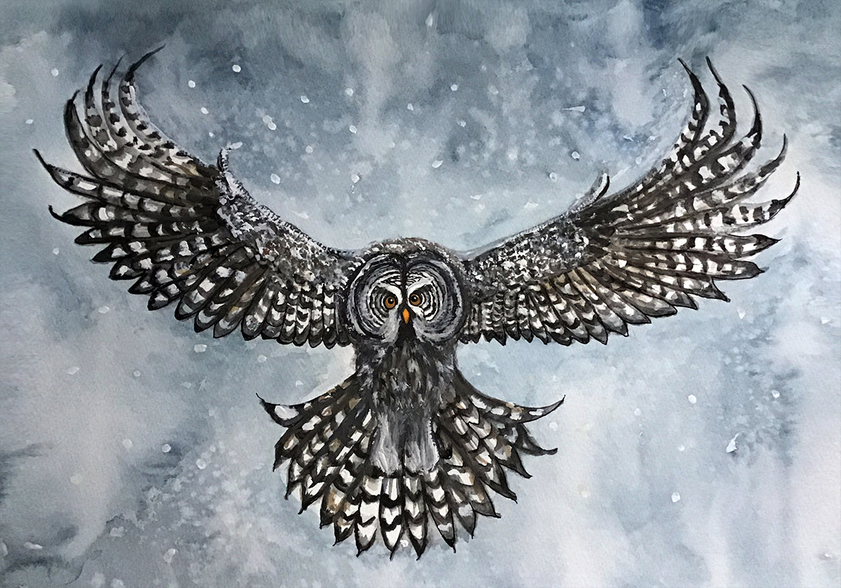 great grey owl Poster