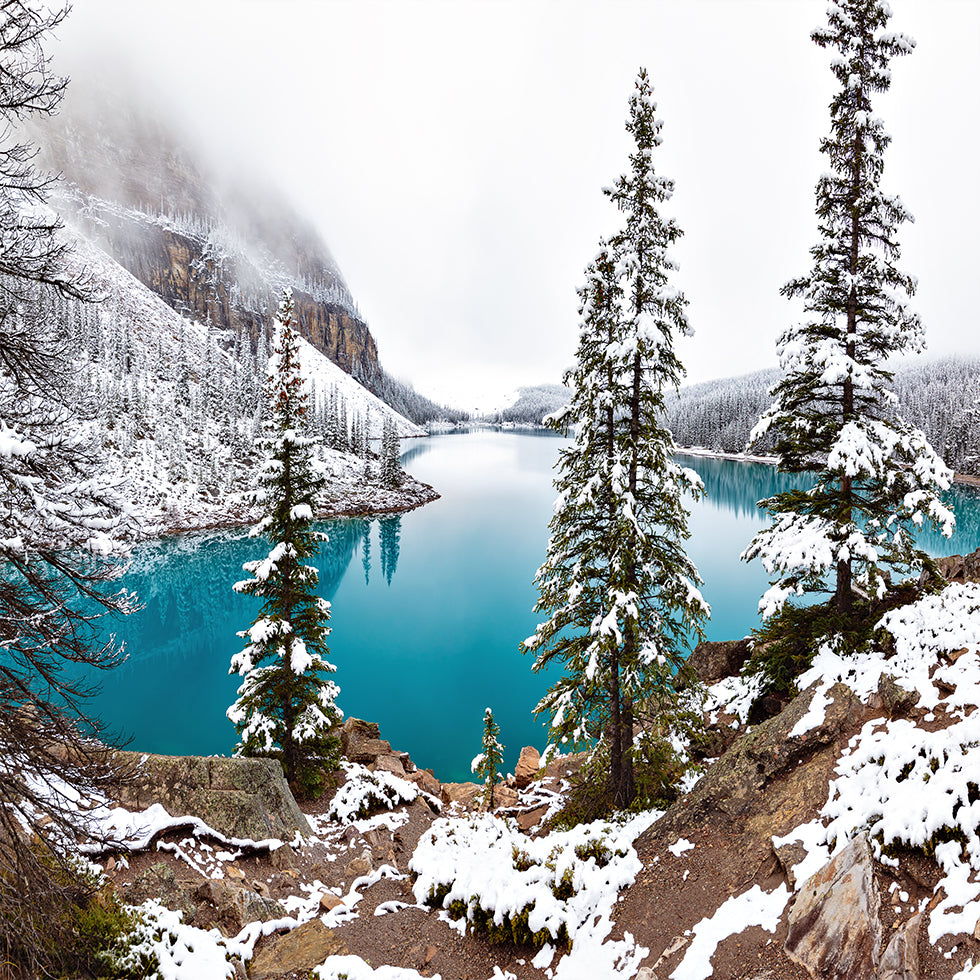 Snow at Moraine Poster