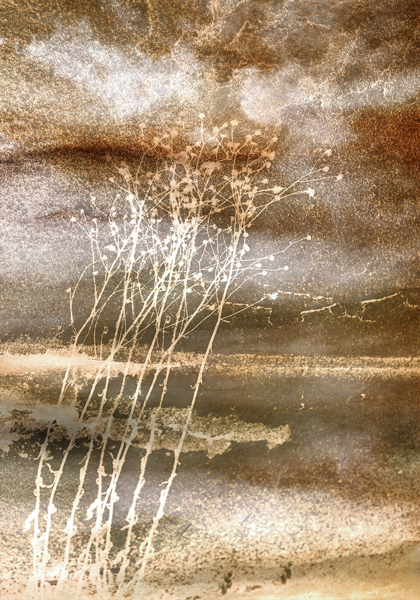 Dried Dreams Poster