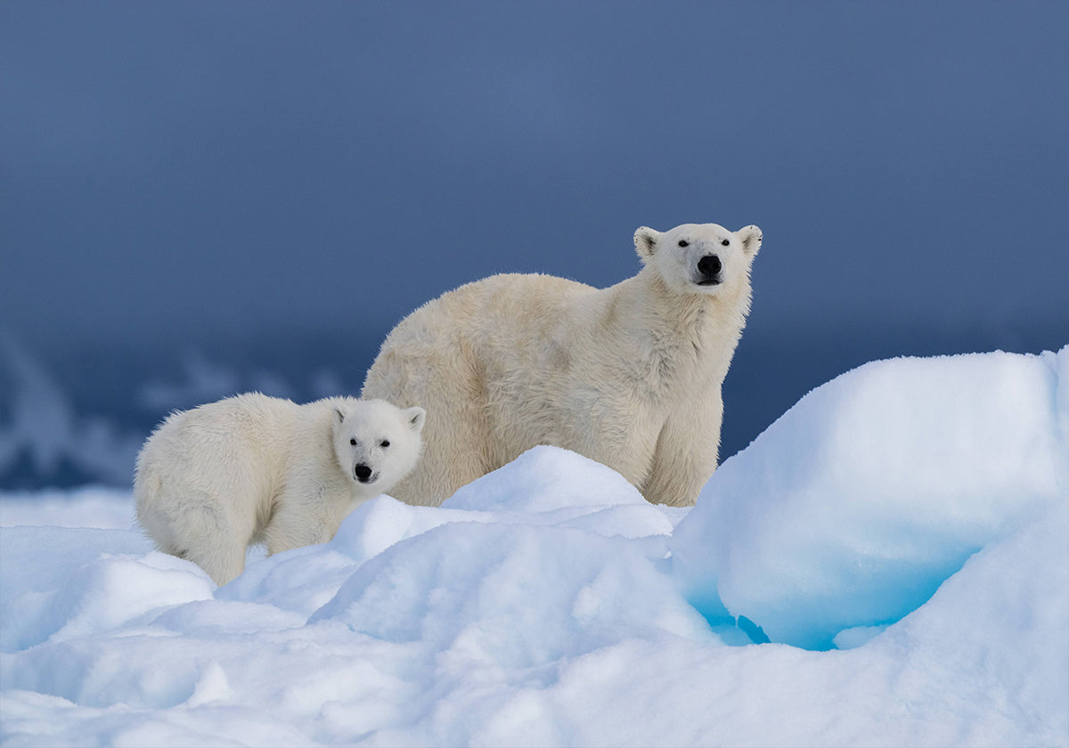 Mommy and baby Poster