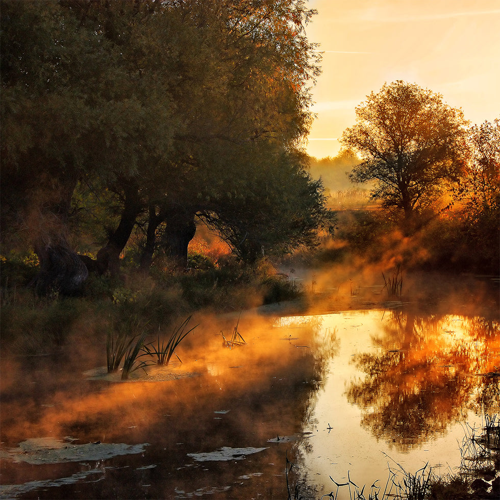 When nature paints with light I Poster