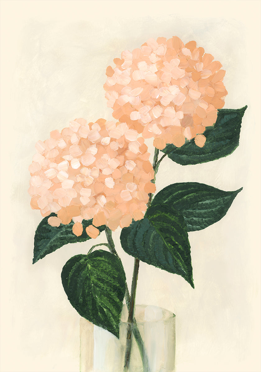Coral hydrangeas in a vase Poster