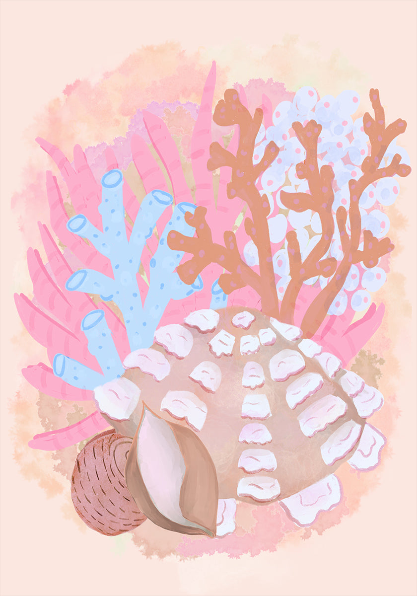 Pink Seashells Poster