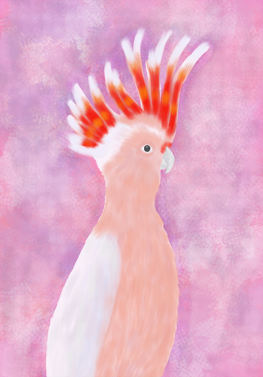 Pink Cocatoo Bird Poster