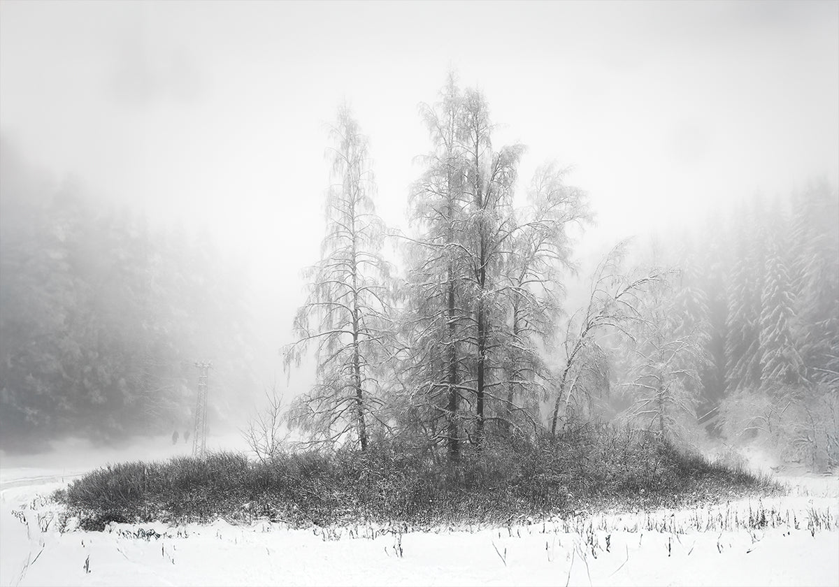 Winter in the mountain Poster