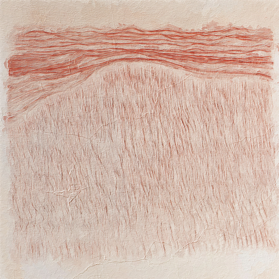 Whispering Textures Poster