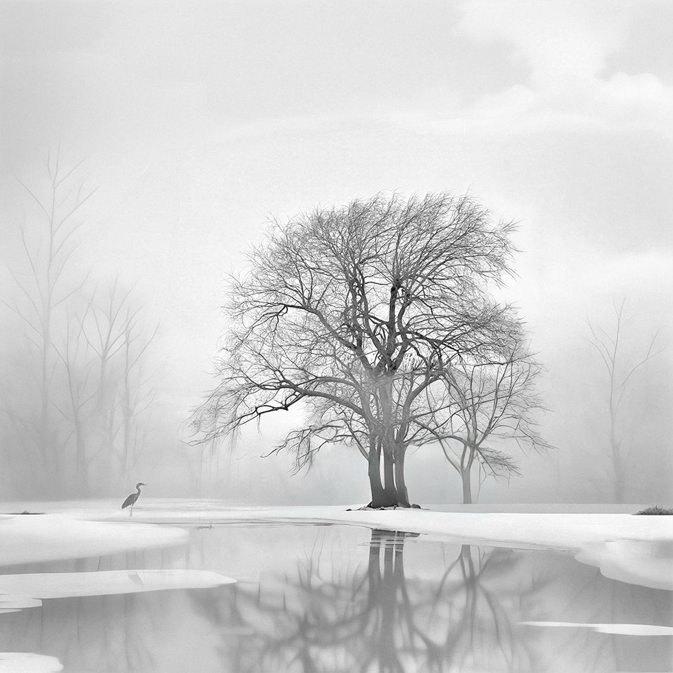 Tranquility after the snow Poster